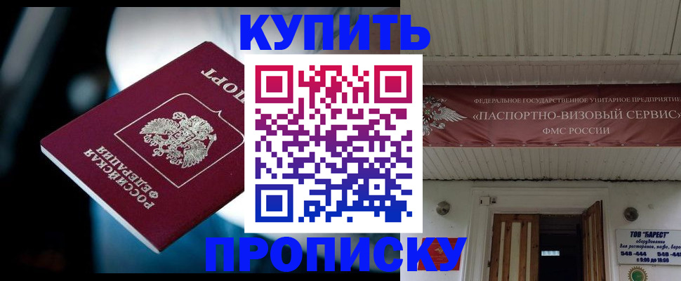 прописка 2025 в Заринске